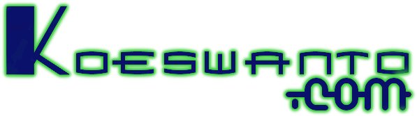 koeswanto.com